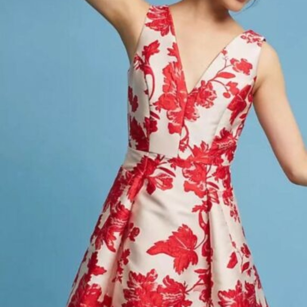 Eva Franco Rose Relief Dress